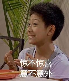 娱乐吃瓜君喜剧小哥是谁,揭秘“娱乐吃瓜君喜剧小哥”的爆笑之路