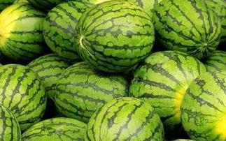 吃瓜网每日大赛最新入口,揭秘最新入口，精彩赛事不容错过！