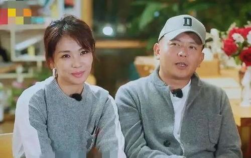 娱乐圈同人刘涛女主,娱乐圈同人笔下的璀璨女主传奇